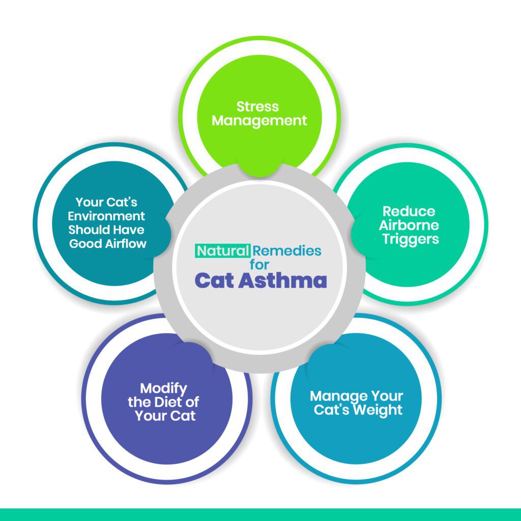 Cat Asthma Natural Remedies