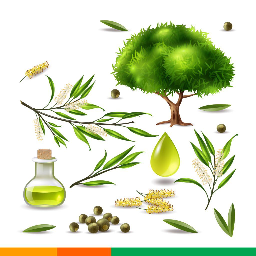 Essential Oils and Natural Remedies