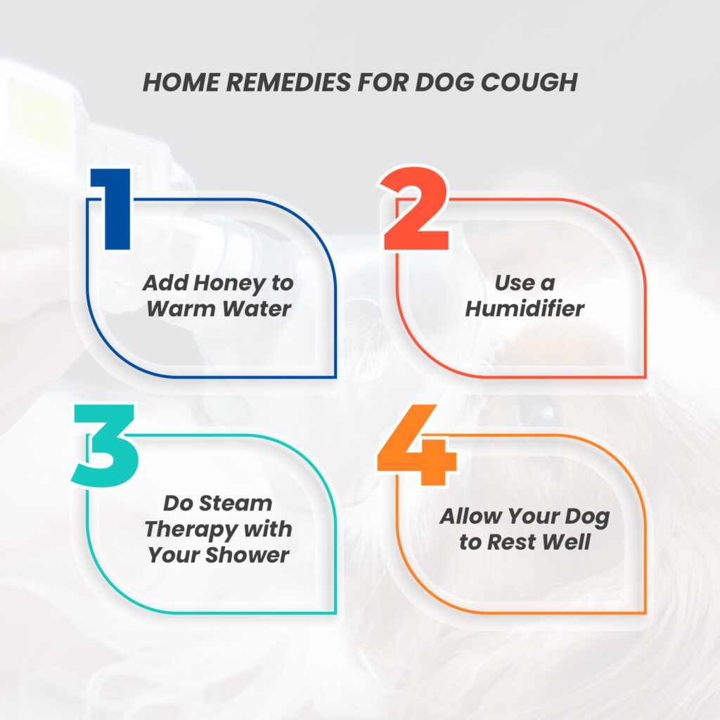Home Remedies for Dog Cough