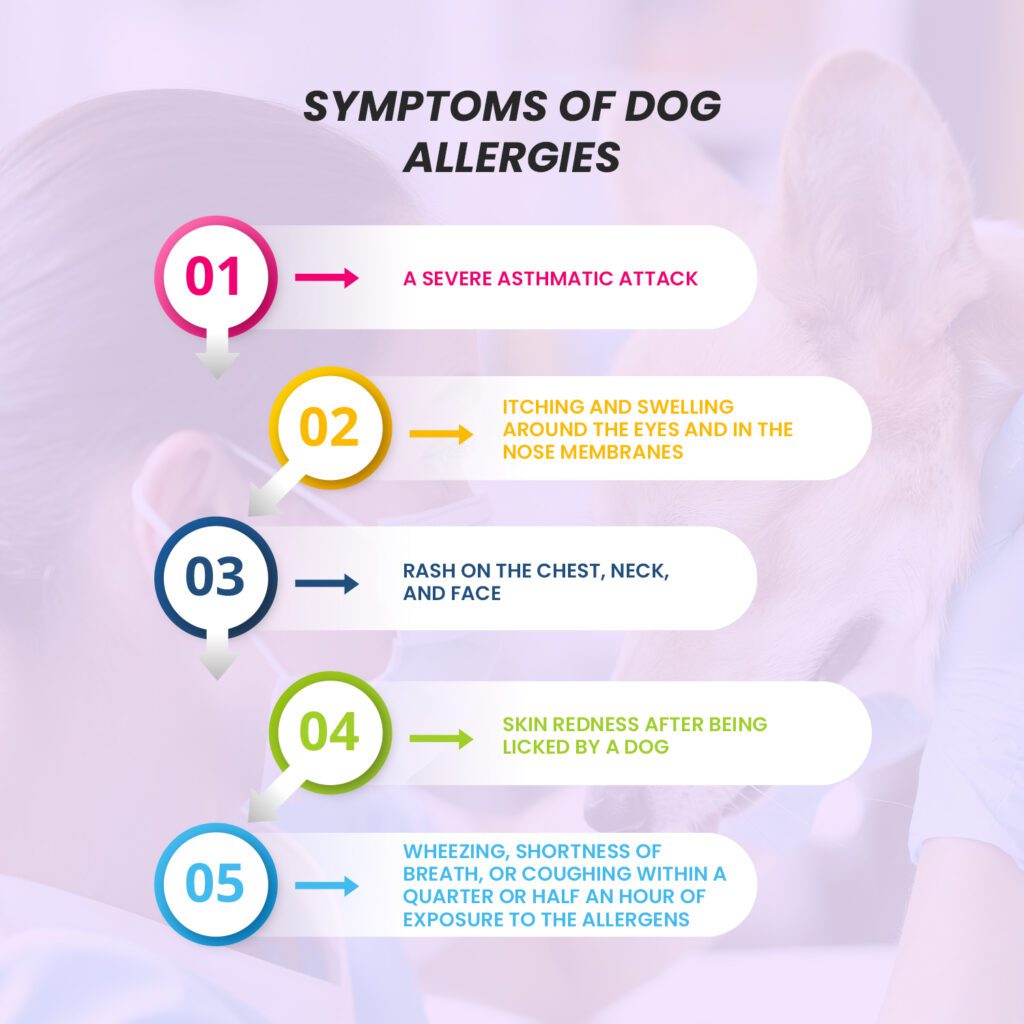 Symptoms of Dog Allergies