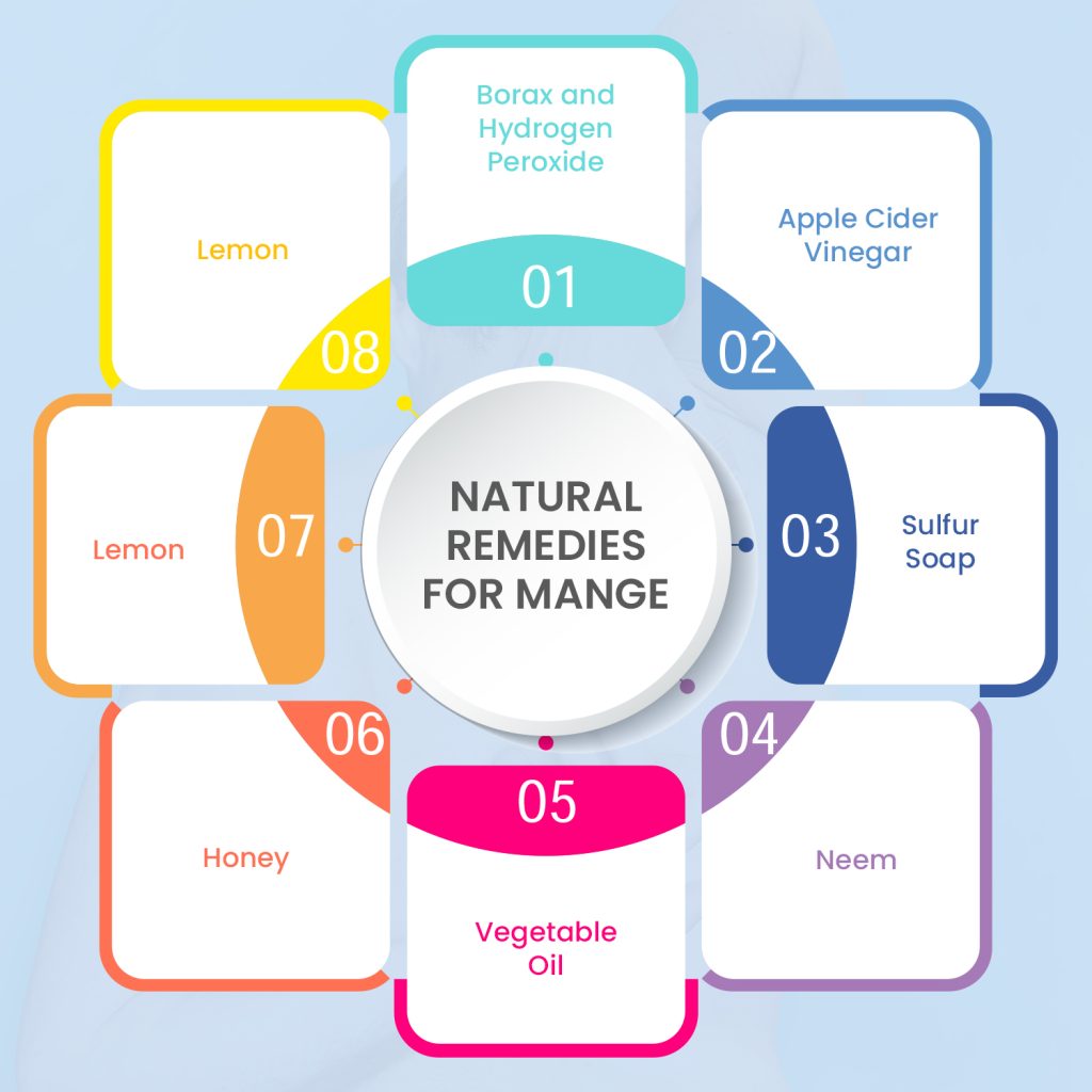 8 Natural Remedies for Mange