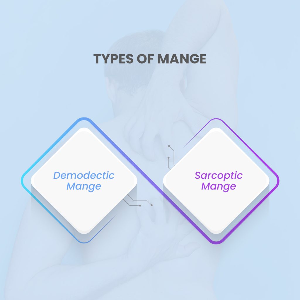 Types of Mange