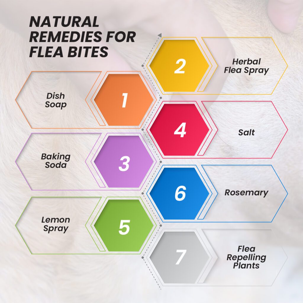 natural remedies for flea bites