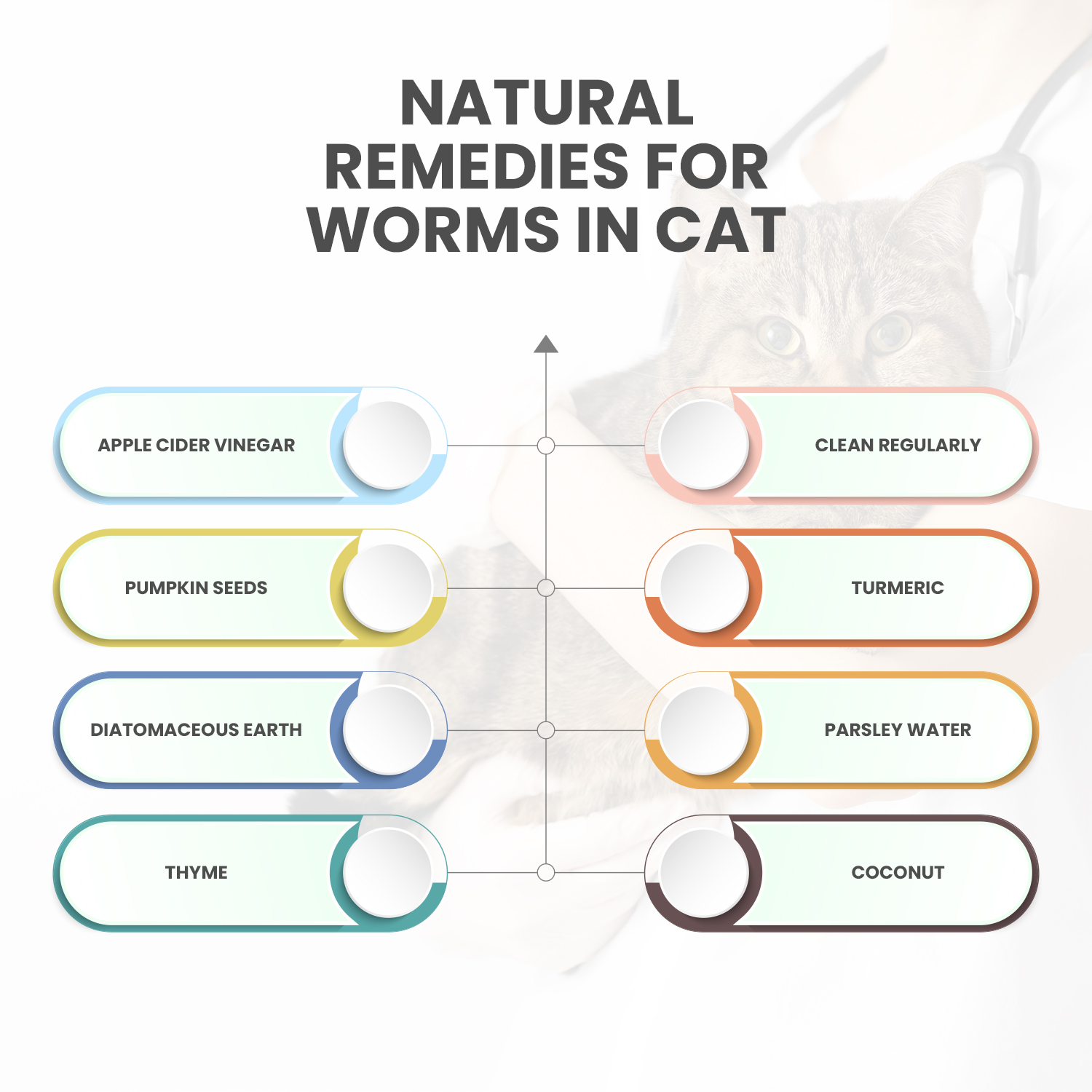 8 Natural Remedies for Worms in Cats