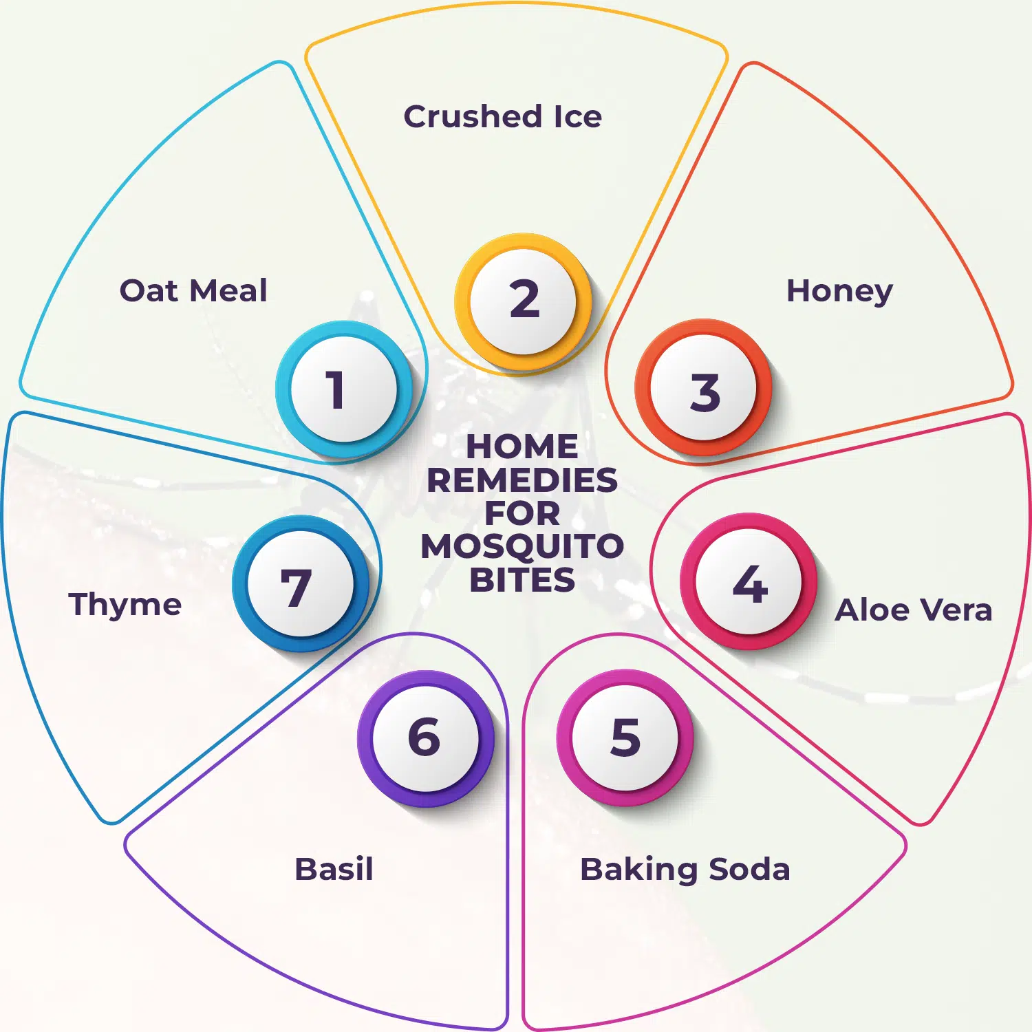 Home Remedies for Mosquito Bites