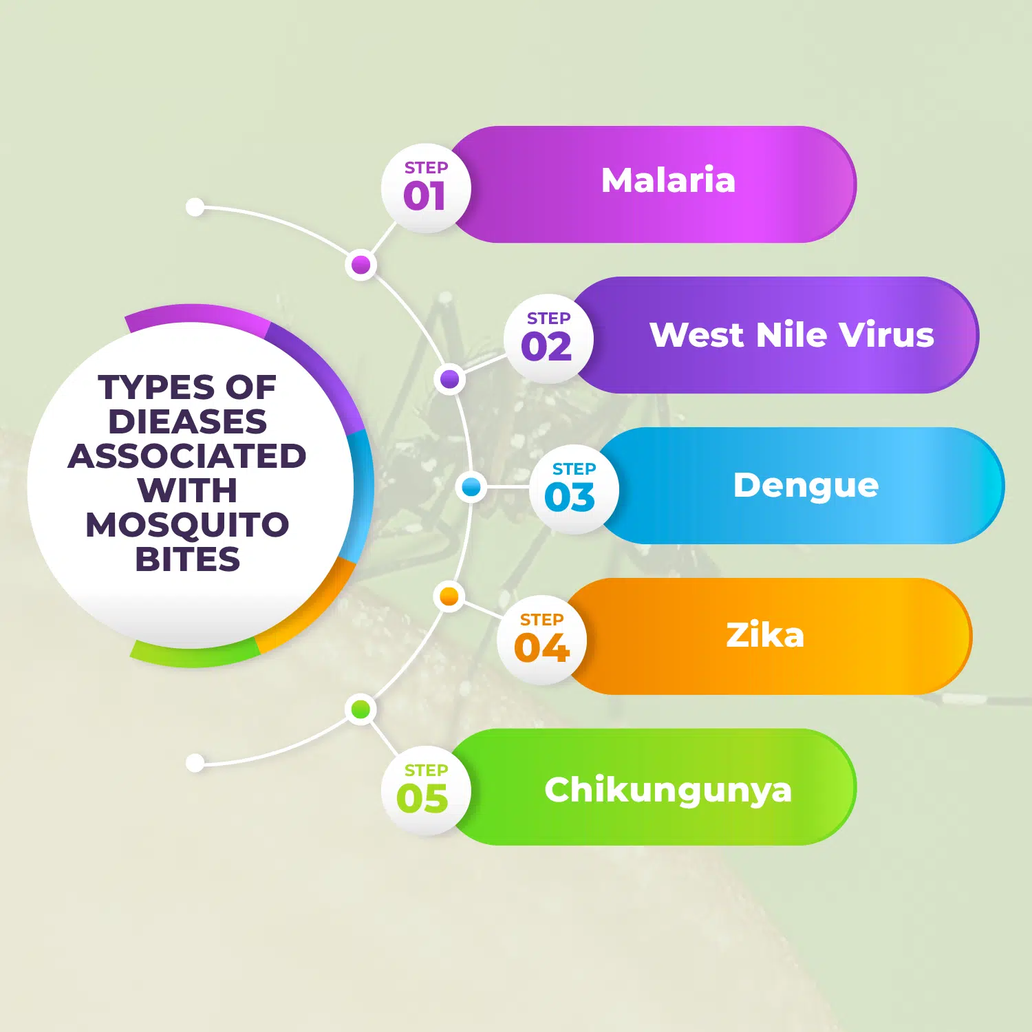 Types of Diseases Associated with Mosquito Bites