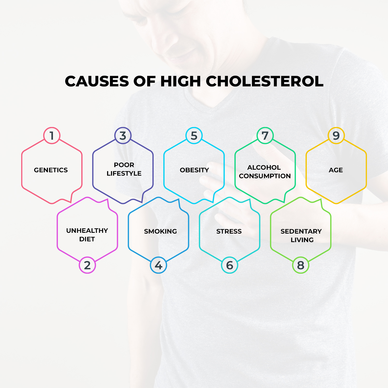 Causes  of High Cholesterol