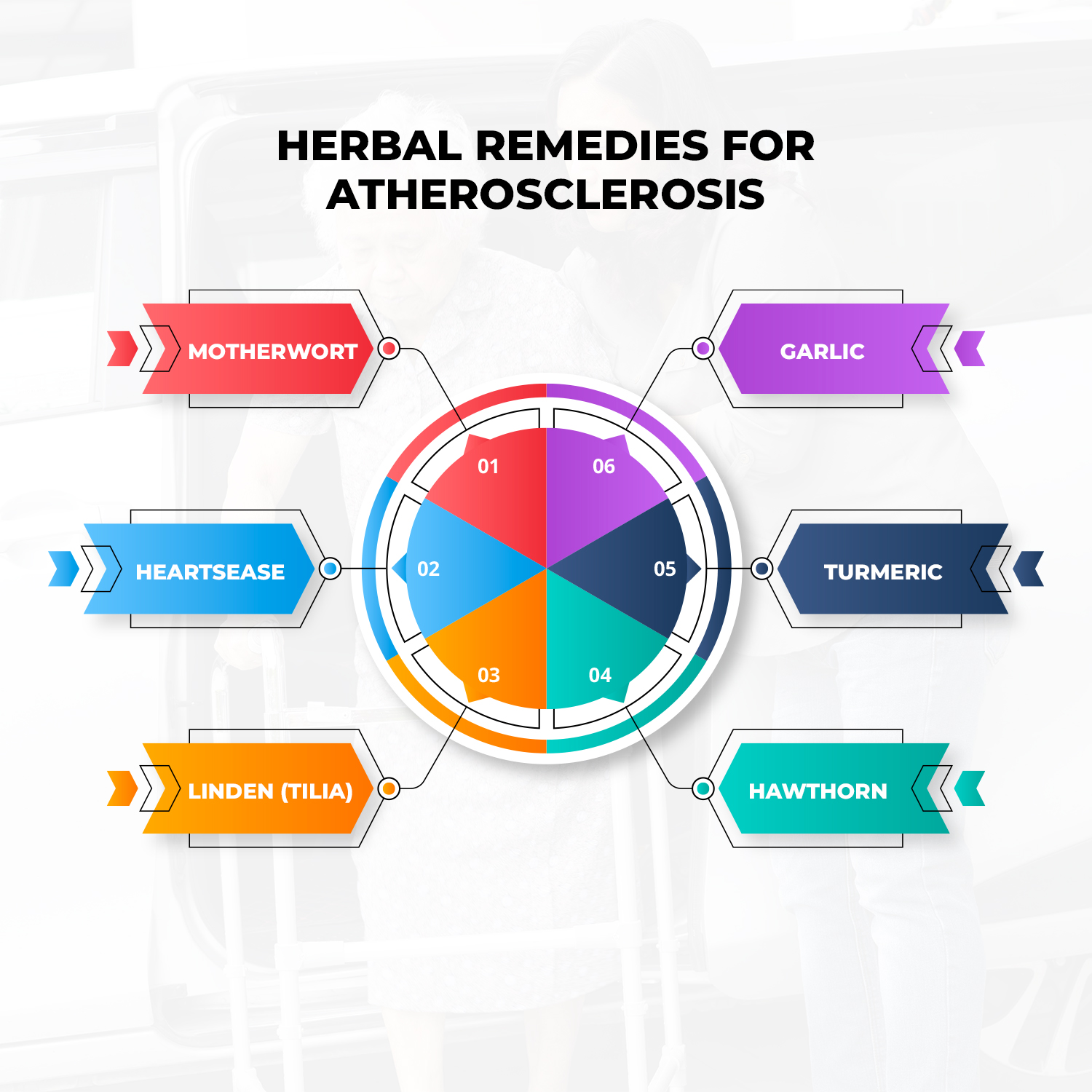 Herbal Remedies for Atherosclerosis