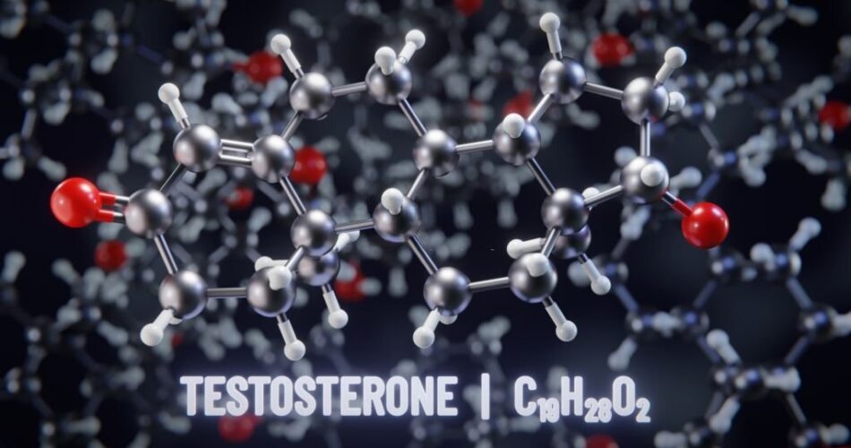 testosterone molecule