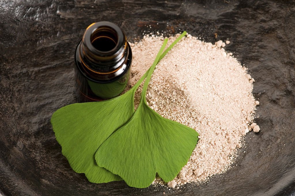 ginkgo biloba-one of the effective herbs for increasing male libido.