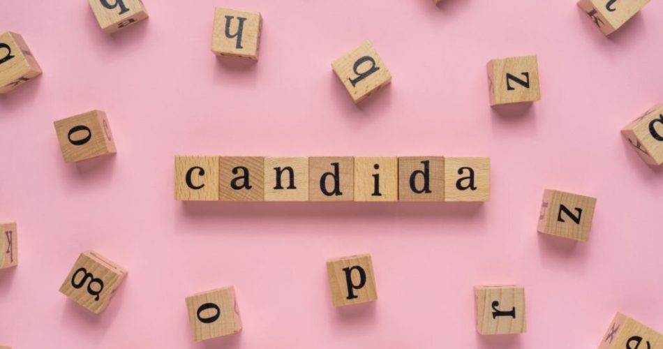 Candida word on wooden block. Flat lay on light pink background.