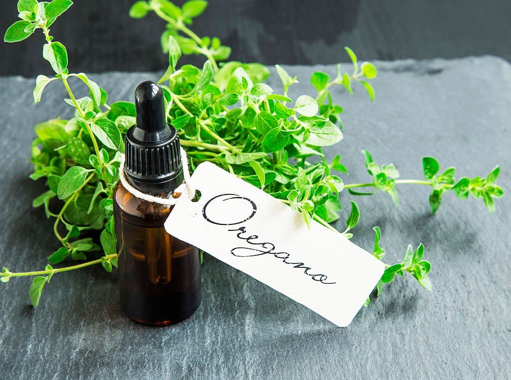 oregano oil-one of the effective home remedies for yeast infections in the vagina